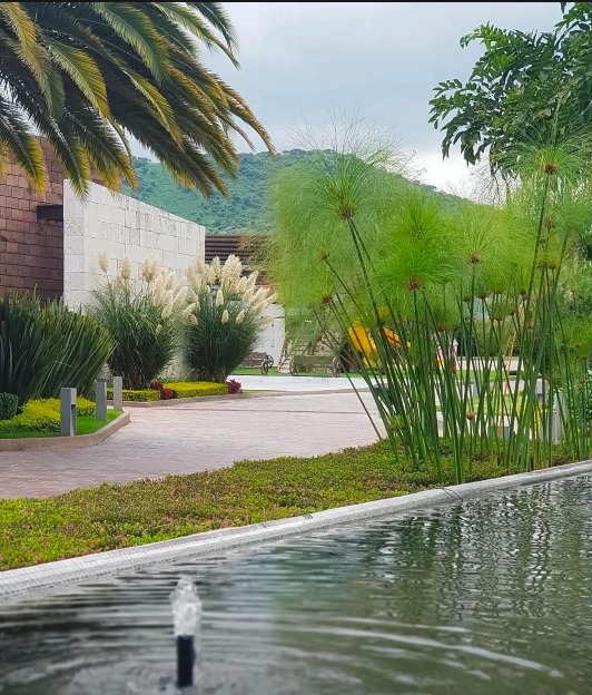 HACIENDA ROSINA - Fotografía 6